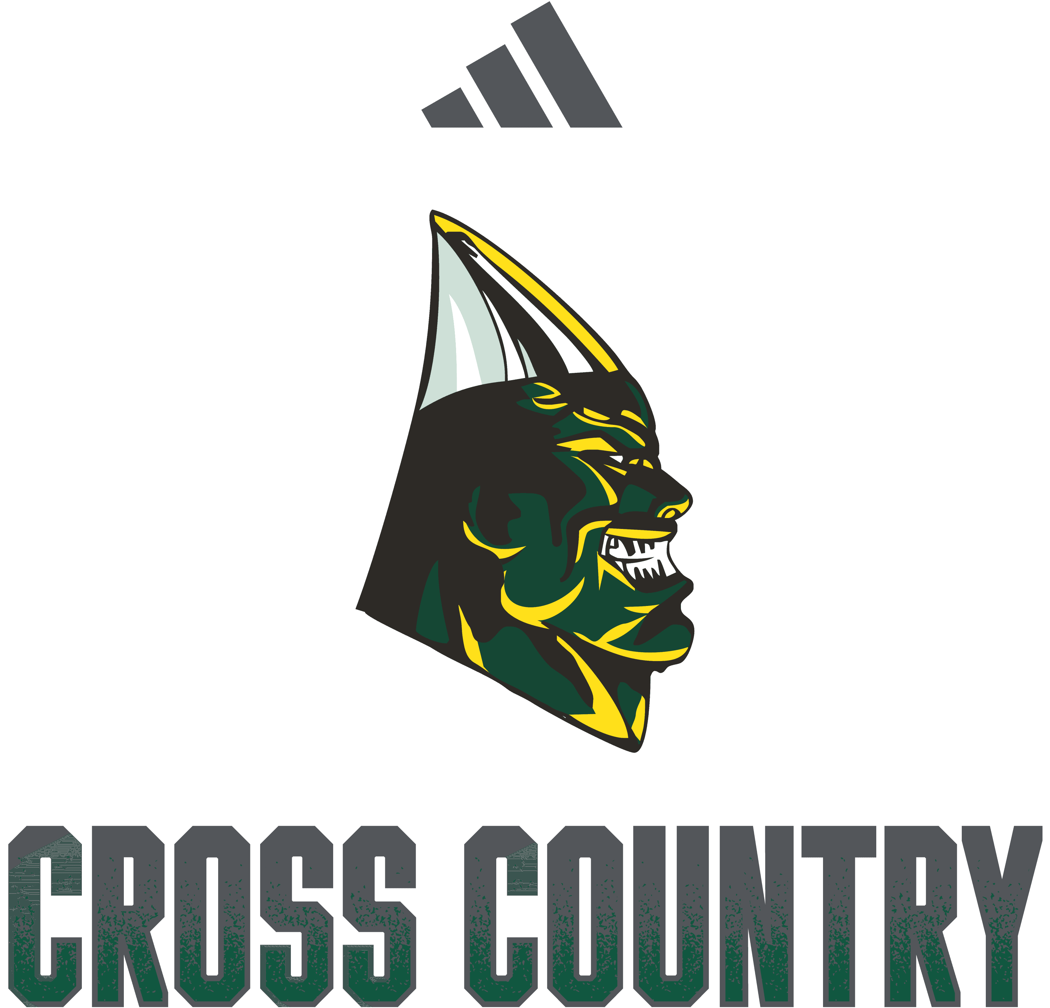 CROSS COUNTRY