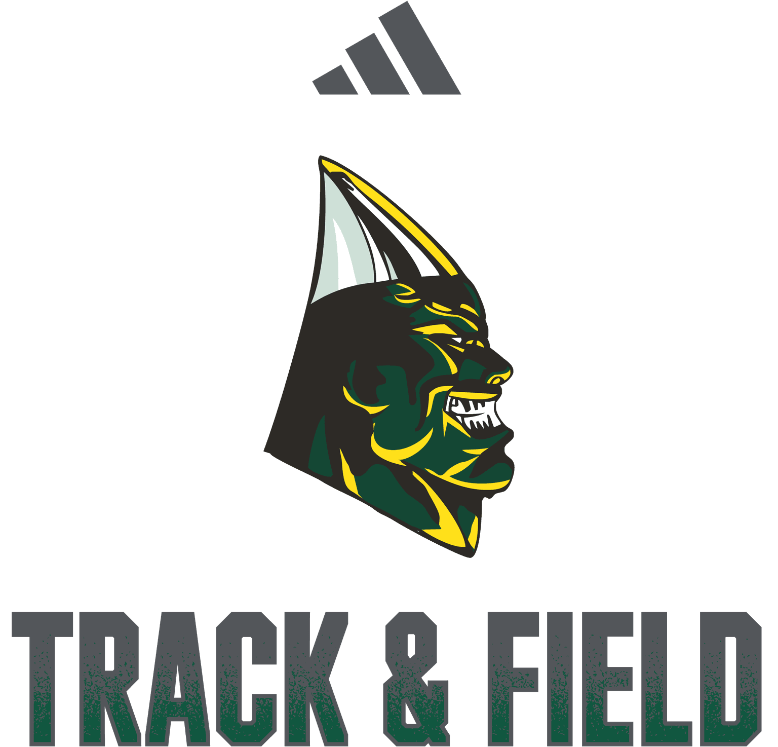 TRACK & FIELD