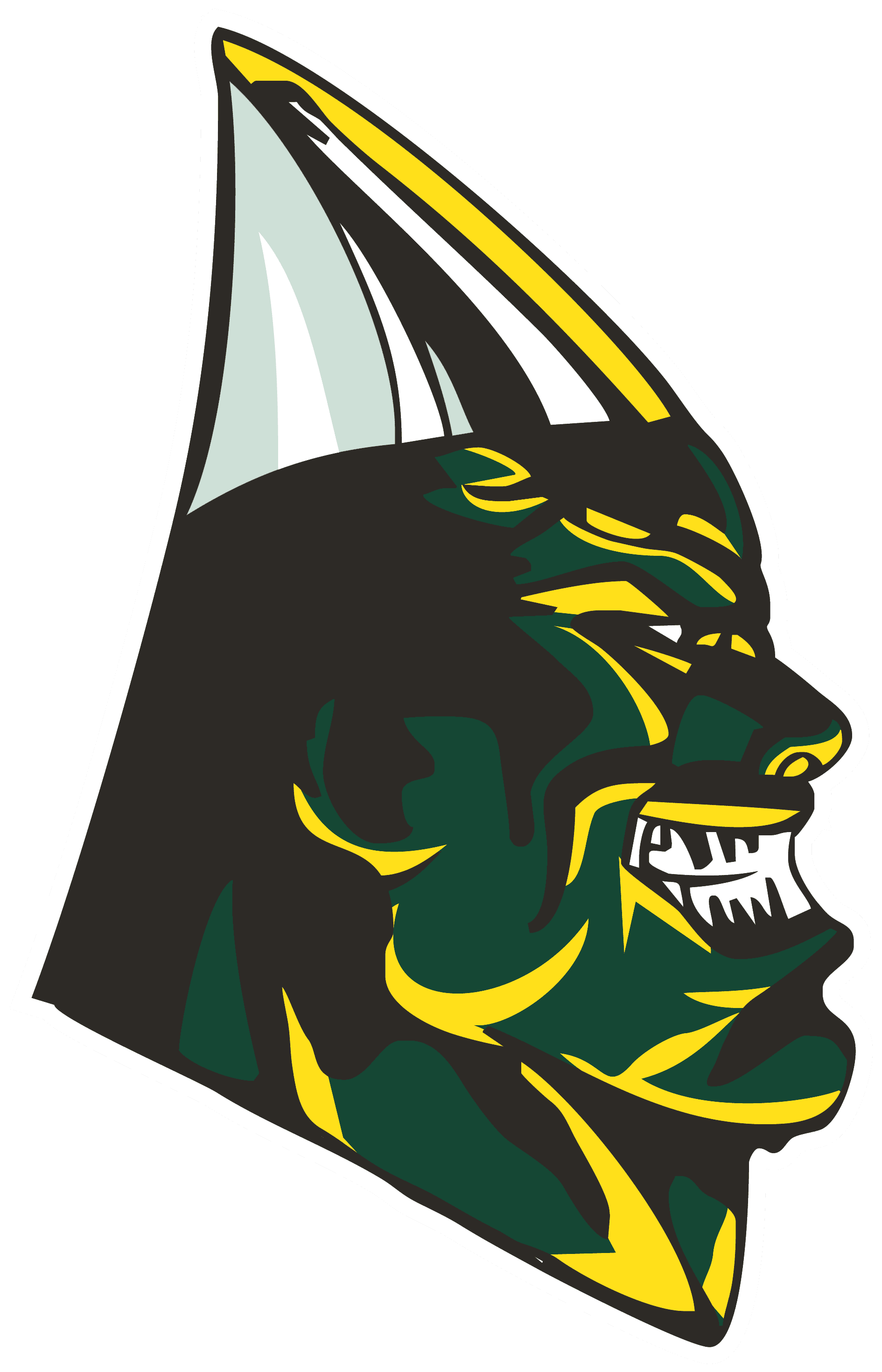 Central Senior High School